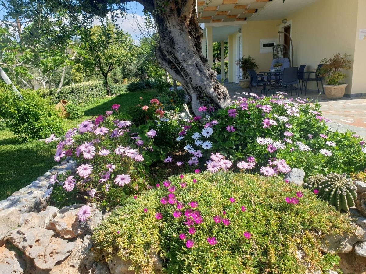 Studio Holiday Kalamata Leilighet Eksteriør bilde
